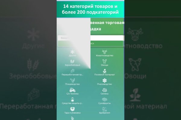 Кракен актуальная ссылка на сегодня