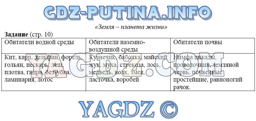 Магазины с наркотиками